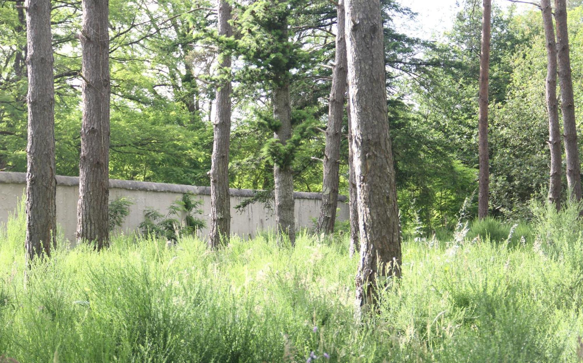 Villa Le Refuge De Chambord Thoury Esterno foto